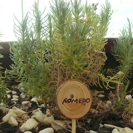 Con Piscina Climatizada Y Vistas Lejlighed Costa Adeje (Tenerife)